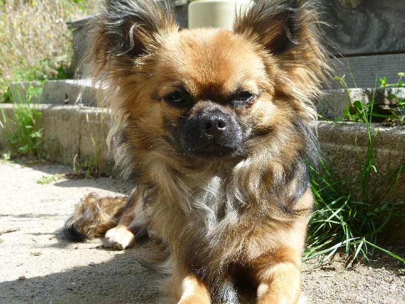 BOUBOU